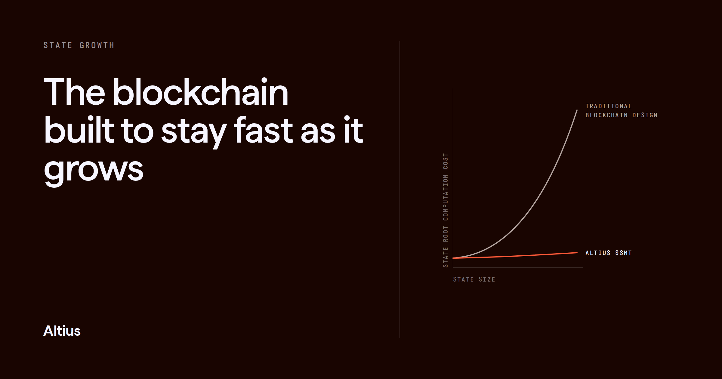 The blockchain built to stay fast as it grows